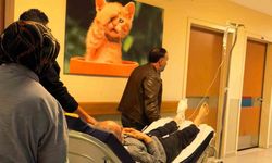 Odun Kesme Sırasında Ayağına Balta İsabet Etti