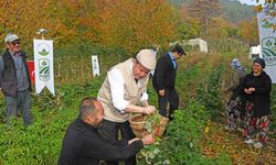 Osmangazi’de Üzümsü Meyvelerde Organik Tarım Seferberliği