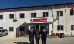 Polis, 13 kuzunun izini sürdü: şüpheliler yakalandı