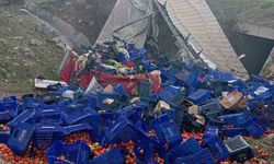 Tır devrildi, yüklü sebzeler yola saçıldı
