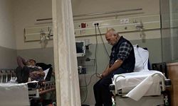 Topladıkları Mantarlar Zehir Çıktı: 7 Kişi Hastanede