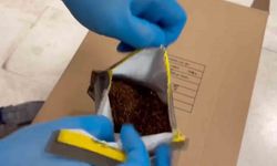 Tütün kaçakçılarına ağır darbe: 7 milyonluk ürün ele geçirildi