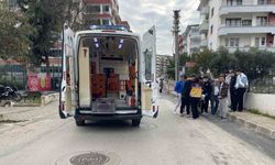 Yolda Dengesini Kaybetti, Kamyon Çarptı