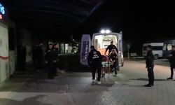 Zeytin hasadında kavga: Gemlik’te bıçaklı yaralama