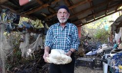 Kütahya'nın köyünde dev mantar bulundu: ''İlk defa karşılaştım''