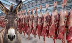 Bakanlık İfşa Etti: Dana Sucuk Etiketli Üründe Eşek Eti Çıktı! Kütahya Listede mi?