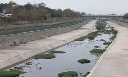 Kirlilik Gönen Çay'ını çökmenin eşiğine getirdi