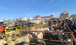 Hastalıktan kapanan canlı hayvan pazarı yeniden açıldı