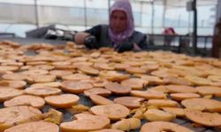 Hurmadan cips üretiminin sofra yolculuğu başladı