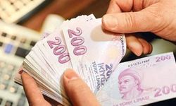 Devletten borçlulara kolaylık: Vergi ve SGK faiz oranları düştü