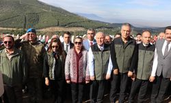 Orman yangınında zarar gören alana fidanlar dikildi