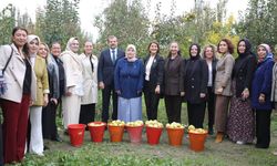 Emekçi kadınlardan mesaj: ''Eller sadece armut toplamaya kalkar''
