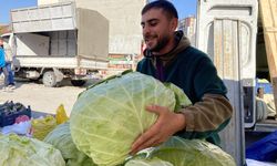 Pazardaki 11 kiloluk lahanalar vatandaşları şaşırttı