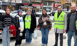 Gönüllüler Kütahya’da Sokak Hayvanları İçin Buluştu