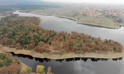 Kütahya'da sonbahar manzaraları memleketi cennete çevirdi