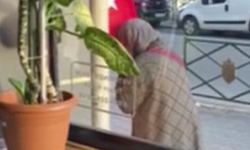 Türk bayrağını öpen teyze görenleri duygulandırdı