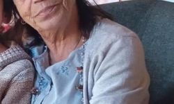 Otomobilin çarptığı yaşlı kadın hayatını kaybetti