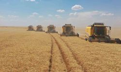 TİGEM personel alımı başlıyor: Şartlar ve kadro dağılımı açıklandı