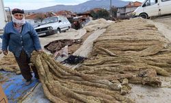 10 Aylık Emek Son Buldu: Selendi’de Tütünler Satışa Hazır