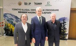 Ahşap palet sektörü TUOP finalinde masaya ağırlığını koydu