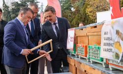 Arıcıların Yüzü Güldü: Bilecik’te 126 Bin Kilo Bal