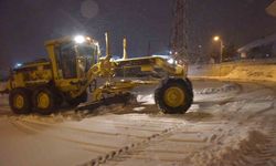Bilecik'te belediye ekiplerinin sabaha saatlerinde yoğun kar mesaisi