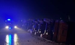 Bilecik'te devrilen tırın sürücüsü yaralandı