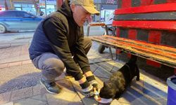 Bu taksi durağı esnafın hayvan sevgisi ile öne çıkıyor