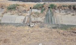 Çevreyi kirleten firmaya yaptırım uygulandı