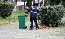 Daha Temiz Söğüt İçin Sahadalar: Belediye Ekipleri Vites Yükseltti
