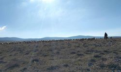 Geçici maden arama izni verilen meralarda kontroller yapıldı