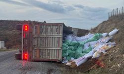 Gördes'te yem yüklü tır devrildi: 1 yaralı