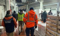 Kaçak balık avına darbe: 615 kilo istavrit toplatıldı