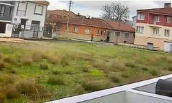 Kan Donduran Gasp: Yaşlı Çifti Darp Eden Şahıs Yakalandı