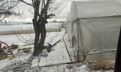 Kar yağışı sebebiyle seralar buz tuttu