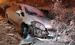 Kontrolü kaybeden sürücü kazaya yol açtı: Çocuklar da yaralandı