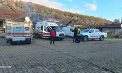 Mantar Arayışı Kâbusa Döndü