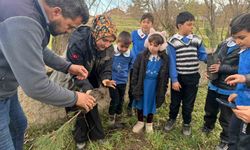 Öğrencilerden Altıntaş’ta Yeşil Geleceğe Anlamlı Adım