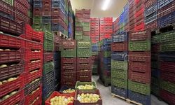 Soğuk Hava Deposu tam kapasite hizmet veriyor