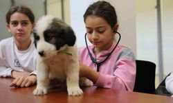 Sokak Hayvanlarına Sevgi Dolu Dokunuş: Çocuklar Bir Günlüğüne Veteriner Oldu