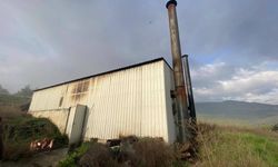 Tavuk Çiftliğinde Yangın: Ekipler Seferber Oldu