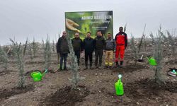 Yanan Ormanlara Umut Oldu: Manisa’da 1000 Fidan Toprakla Buluştu