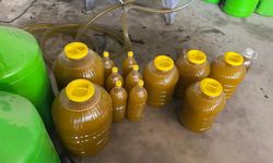 Kara zeytin bir saatlik emekle altın sıvıya dönüşüyor