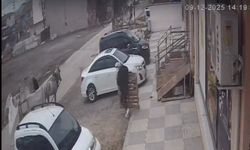 Bina malzemelerini at arabasıyla götürürken kameraya yakalandılar