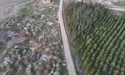 Yola atılan çöpler mahalleliye pes dedirtti