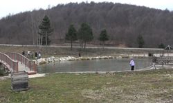 Kütahya'da şehrin gürültüsünden kaçan mesire alanına akın etti