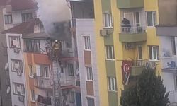 Ev yangınında kediler telef oldu