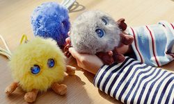 Huawei’nin evcil robotu piyasayı salladı