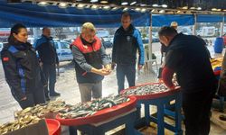 Tezgaha Uskumru yazdılar, kolyoz çıktı