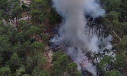 Karavandaki yangın ormana sıçradı